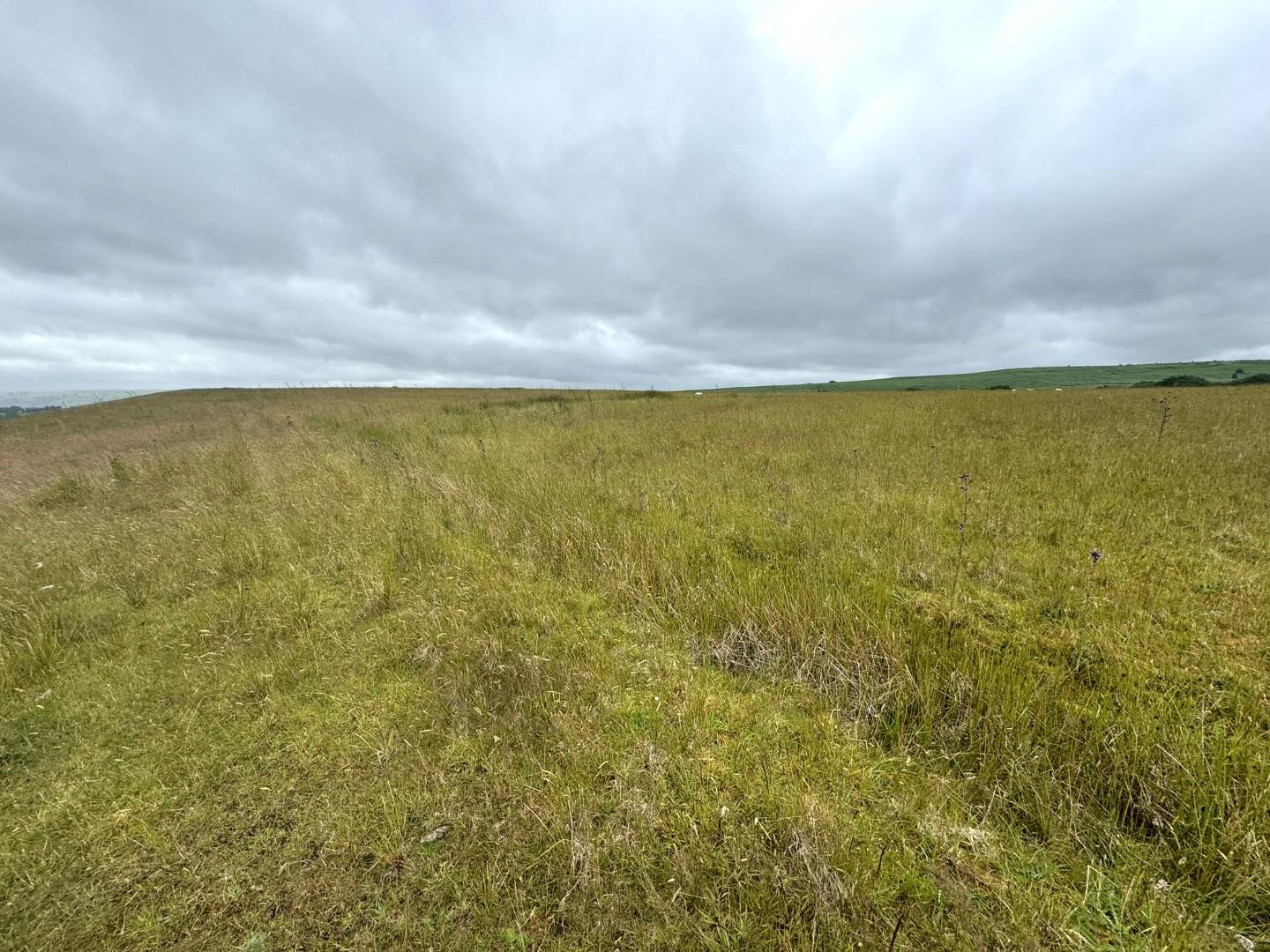 Approx. 45.98 acres of Land Heolddu Bargoed